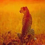 world cheetah day